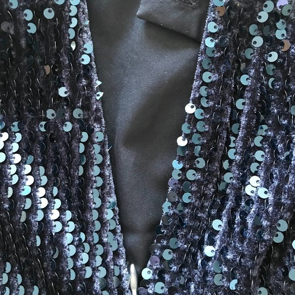 Joie Sequin Skirt (NWT) - Picture 9 of 11